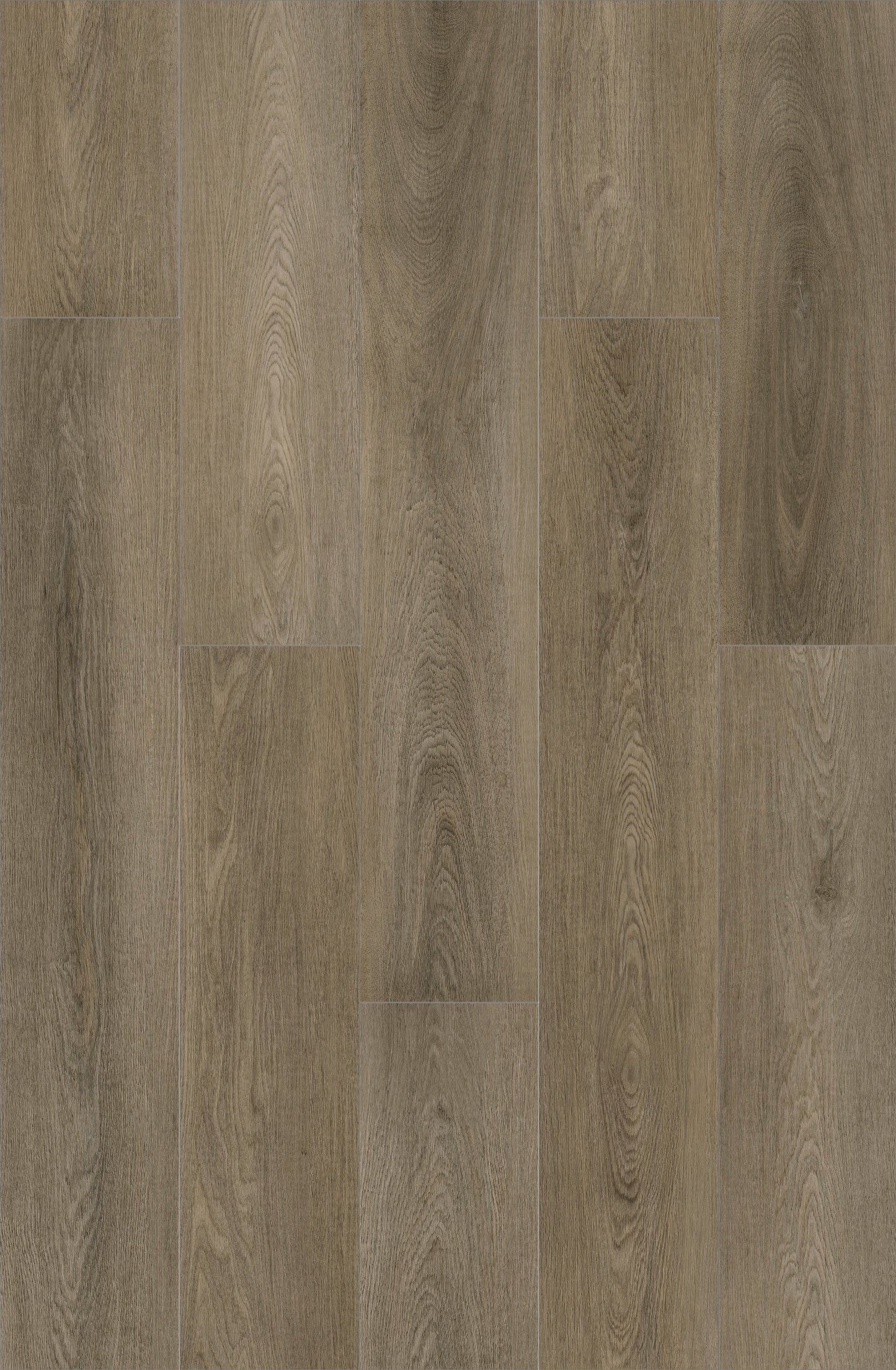 Hazy Elm 2mm Dry Back Vinyl Plank Floor - Sample