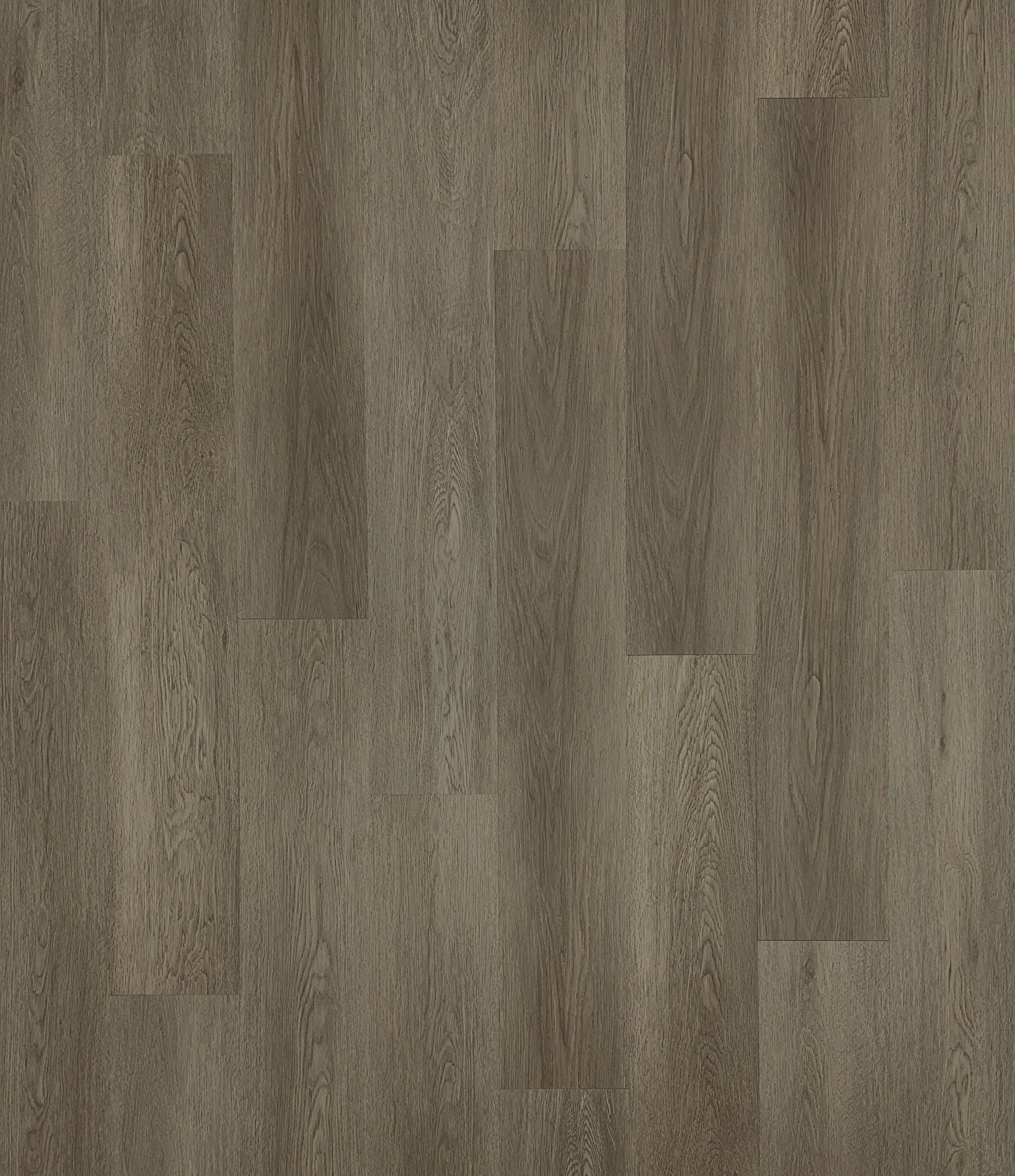 Dusky Harbor 2mm Dry Back Vinyl Plank Floor - Sample