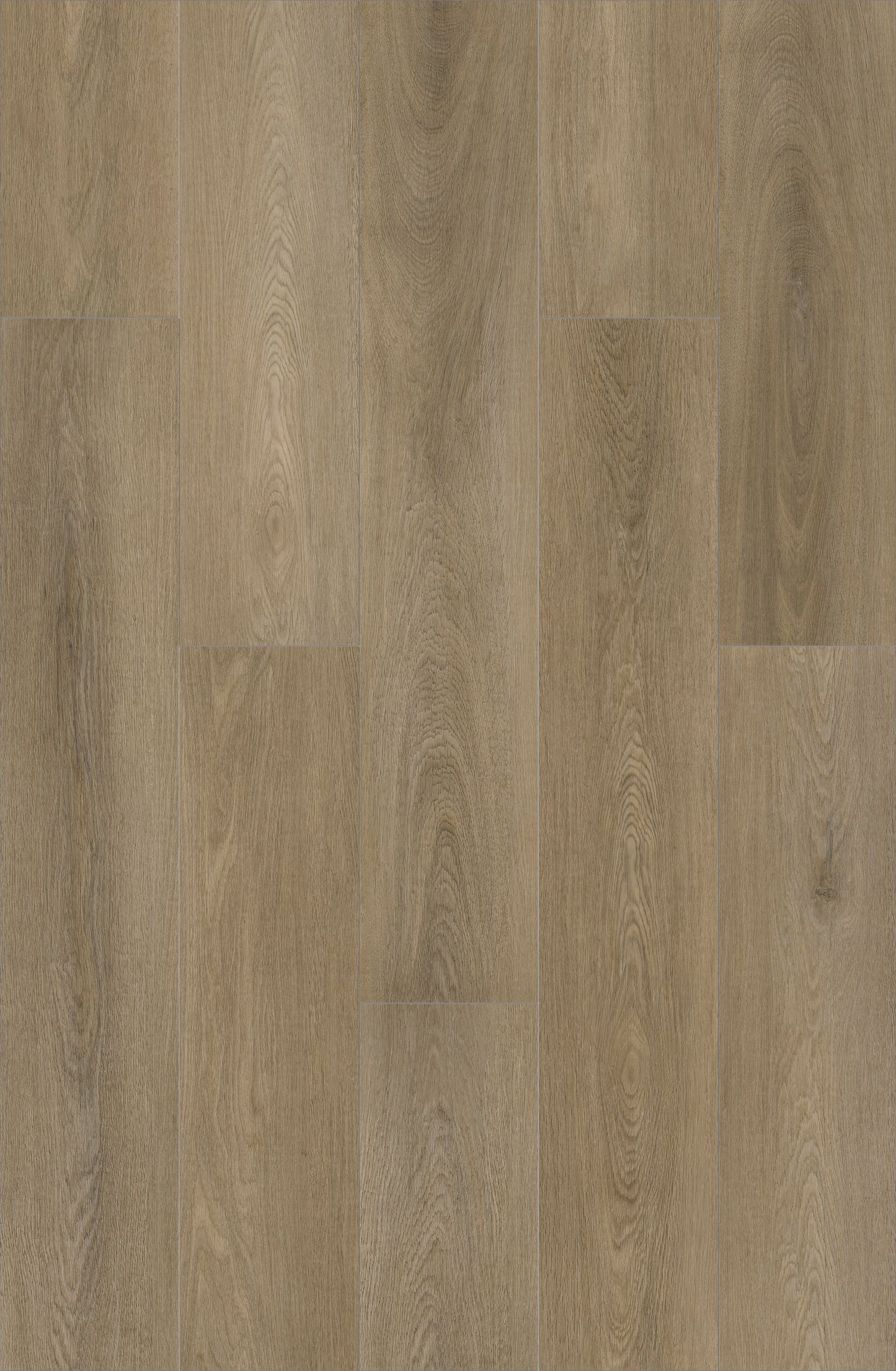 Timberline Taupe 2mm x 7.48 in. width x 48 in. length Dry Back Vinyl Plank Floor (54.89 sq. ft./22 planks per box)