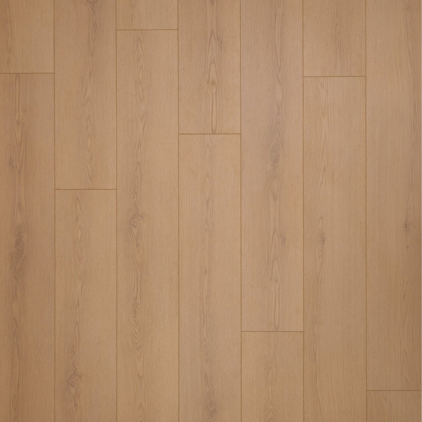 14mm Summit Vale AC4 Wear Layer Painted Bevel EIR Laminate Floor 9.25 in. Wide x 60 in. Long