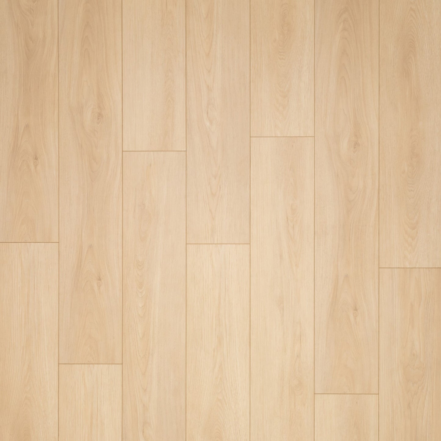 14mm Savanna AC4 Wear Layer Painted Bevel EIR Laminate Floor 9.25 in. Wide x 60 in. Long
