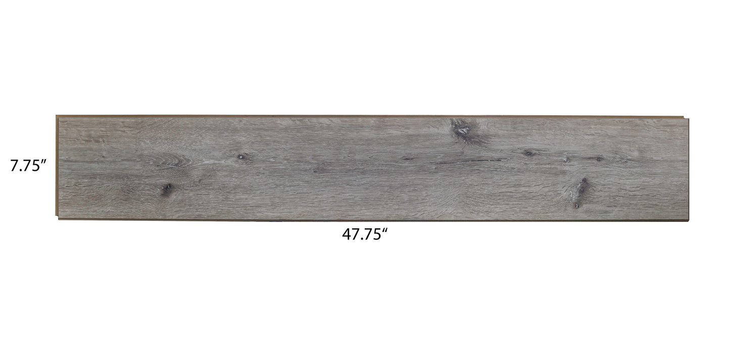 10 mm Bahamas EIR Laminate Plank Floor 7.7 in. Wide x 48 in. Long
